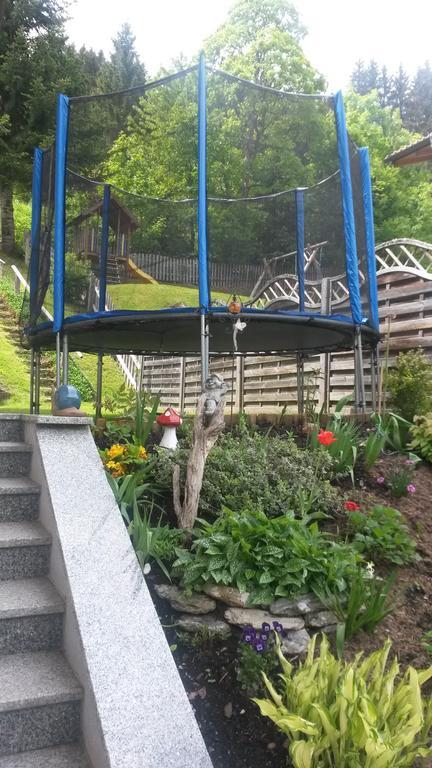Haus Viehhauser Kleinarl Exteriör bild